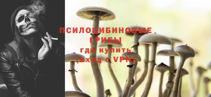 гидра вход  Вольск  Галлюциногенные грибы Psilocybe 